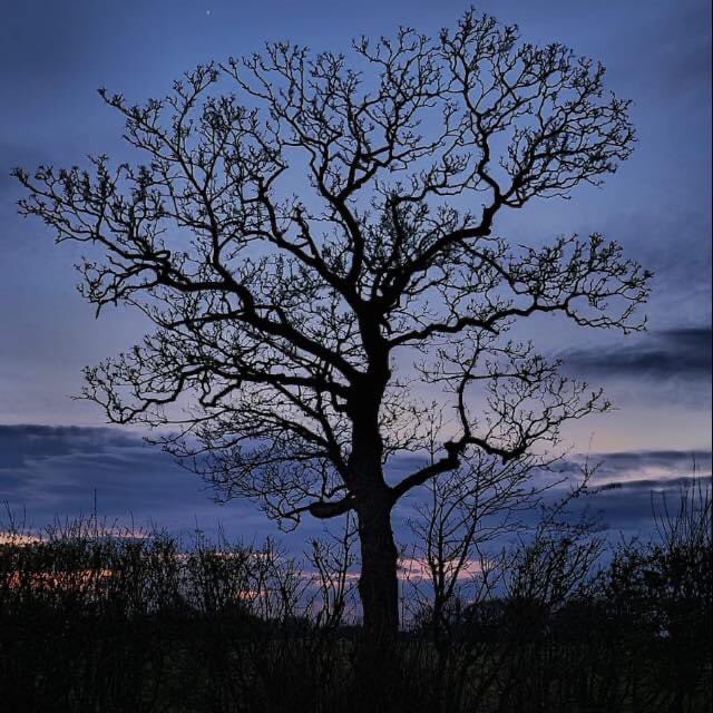 CULCHETHMEDIA's tweet photo. Yr9 Media Students still taking some awesome photos. 1st one from a student. 2nd being inspired by them to take my own tonight whilst out on my 30min allowed run. #wearechs #changednotclosed https://t.co/qDro0RyARW