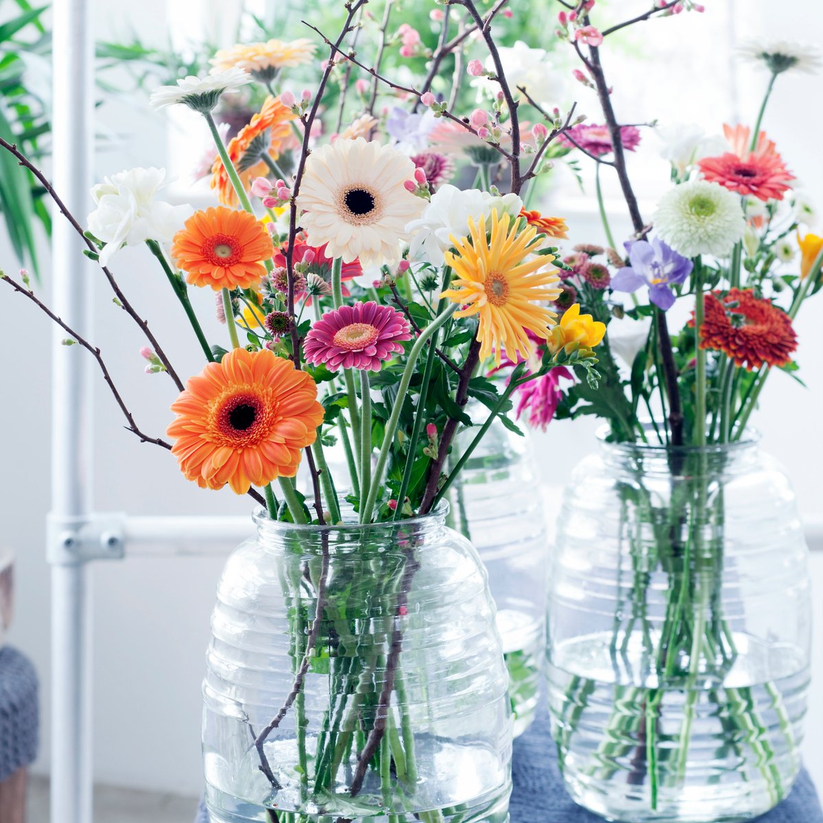PickOntario's tweet photo. Nothing says SPRING like a vase full of flowers 🌷 https://t.co/tLopr5q1La