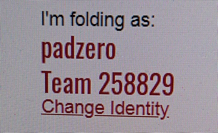 padzero tweet media
