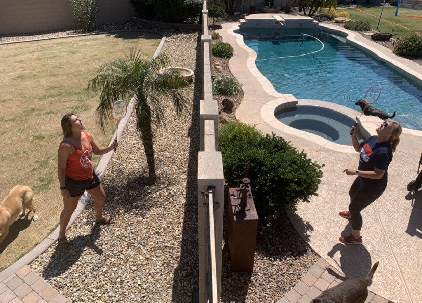 BauerCehs's tweet photo. Coach Nowlin and I making the most of #coyotesinquarantine  
Thankful to be neighbors 🤗 https://t.co/ew4DrFufez