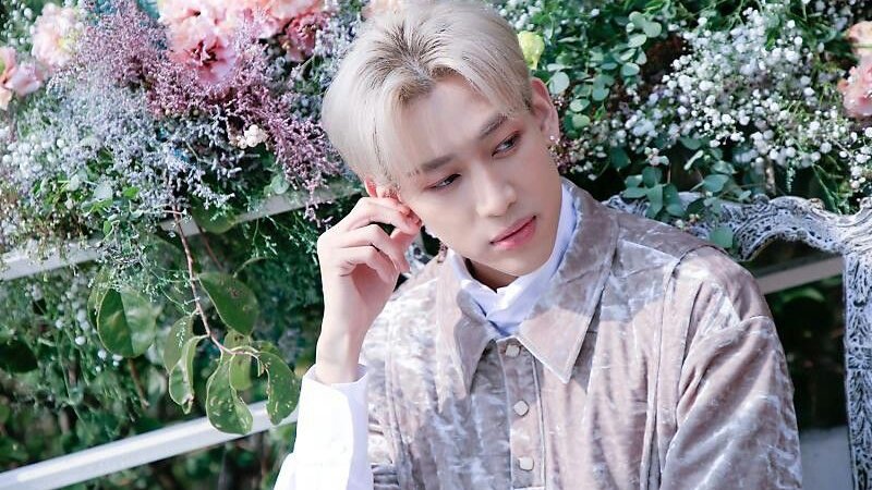 jjst4r1uv's tweet photo. ┏ 　　　　　┐
       spring 🌱
└ 　　　　　┛
#ahgaseselcaday #asd #GOT7 #igot7selca https://t.co/XvHc740kwo