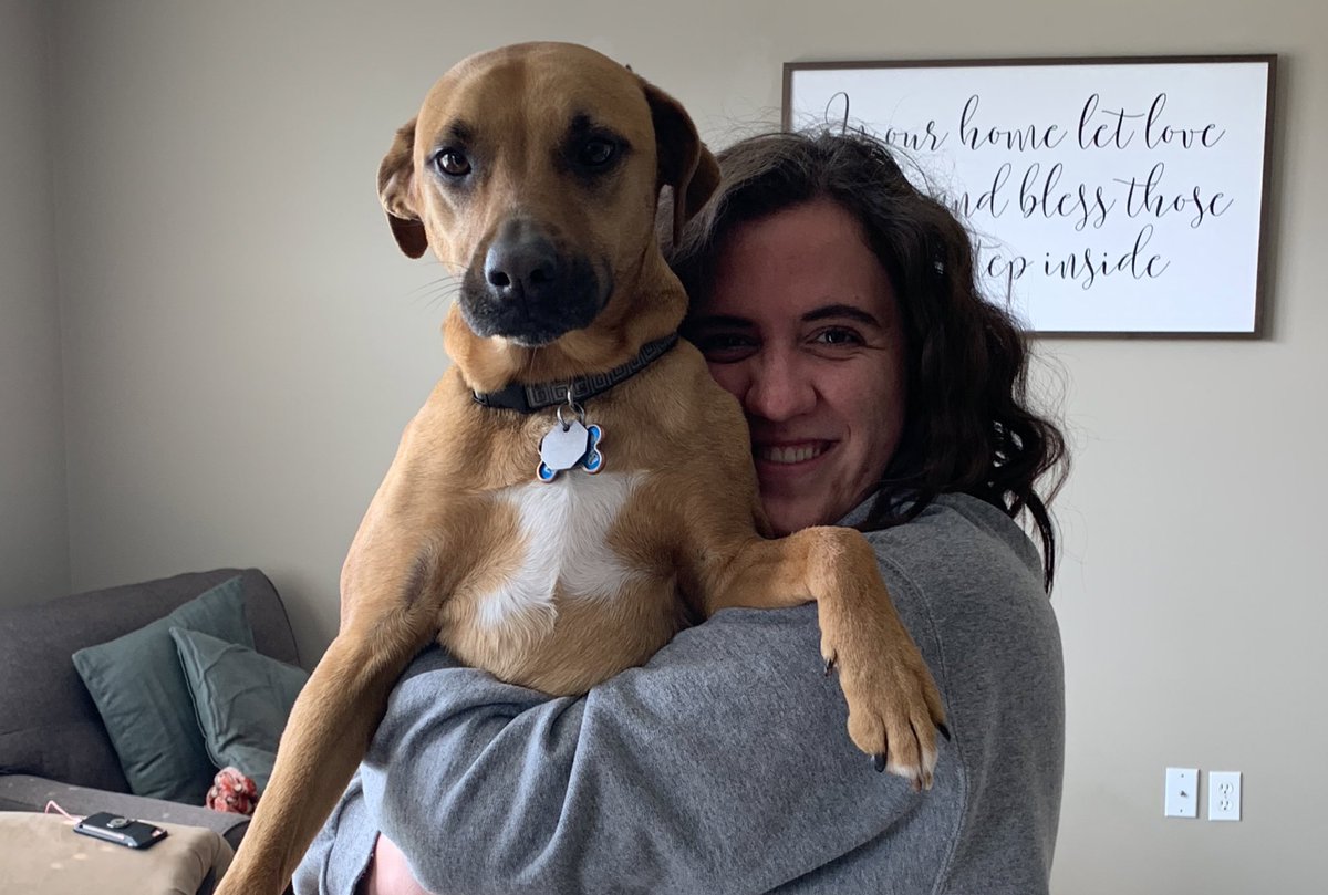SDHSmsC's tweet photo. My coworker insists that this is *not* appropriate work-place etiquette and demands to be put down. @dom_vs_corona #SDHSonline #SDHSTogether #HouseTemperentia https://t.co/w0ZbQn338c