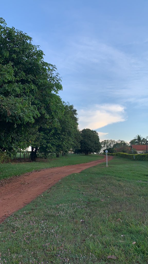 BruninhaManager's tweet photo. Segue com a vida na roça https://t.co/Gs7HWdmKJW