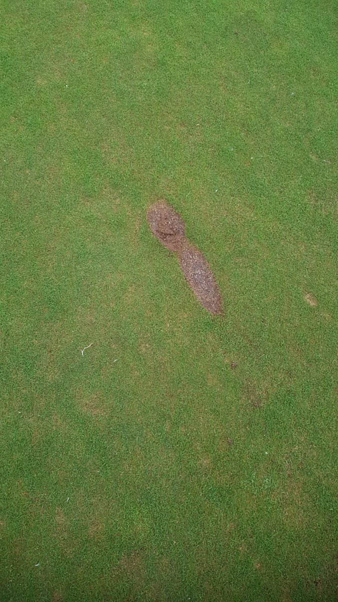 MrStewieD's tweet photo. @CarolineLucas That's not do that as people do not have respect for the golf courses, and do not respect the work and effort that goes in all year round, https://t.co/Yndta1lRky