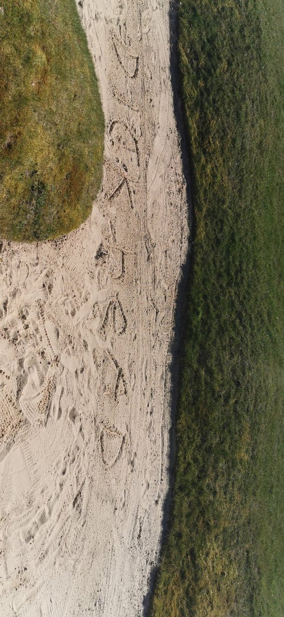MrStewieD's tweet photo. @CarolineLucas That's not do that as people do not have respect for the golf courses, and do not respect the work and effort that goes in all year round, https://t.co/Yndta1lRky