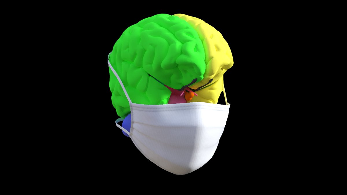 As we all confront the COVID-19 crisis, we want to keep everyone focused on preventing infections and saving lives.  We have decided to cancel the much anticipated 2020 DMT  webinar. We will be planning for upcoming educational sessions as webinars when we are able.