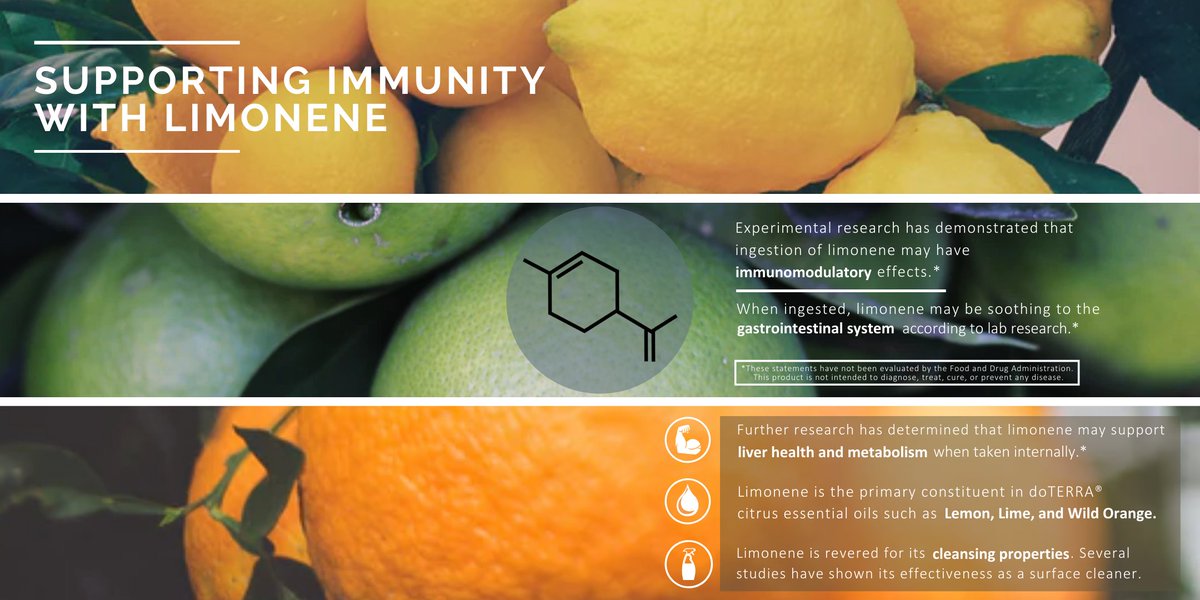 doterrascience's tweet image. Next up in our Supporting Immunity Series we will be highlighting the chemical constituent limonene. This constituent is found in many citrus essential oils. Learn more about its benefits by clicking on this link! bit.ly/39L3L4o

#doterrascience #doterra #essentialoils