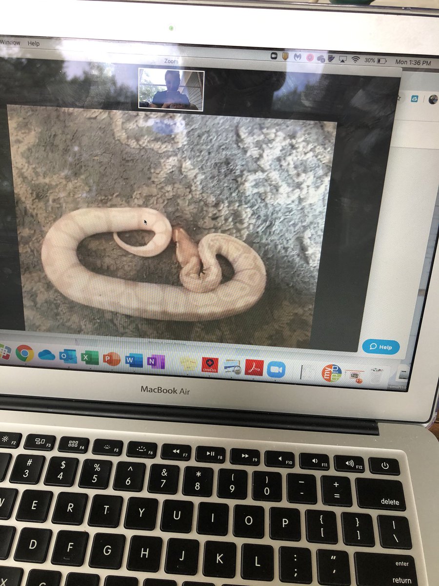 themrsjensen's tweet photo. When your student shows you their pet snake 😂😂 wasn’t expecting that! 🐍 😱#showandtell https://t.co/lH5LYMfwf9
