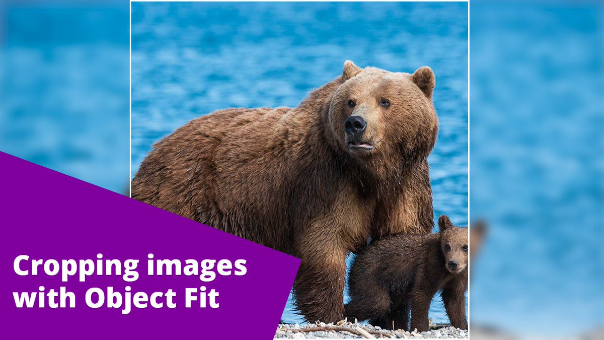 Cropping images with Object Fit

youtube.com/watch?v=liAo_i…

#css3 #html5 #webdev #frontend #code #tutorial #YouTube