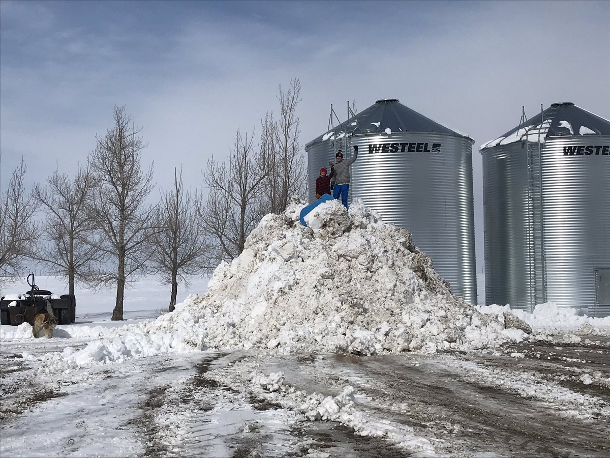 TimCalwell's tweet image. Not sure who has more fun, the boys or the guys building the pile