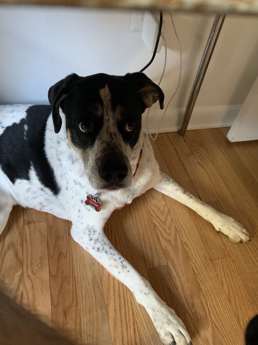 therealbriggs's tweet photo. Coworker wants to have a meeting. https://t.co/pOfEPNtL6J