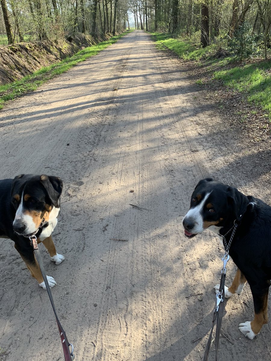 Erik Stegink 🍀🍀🍀 tweet media