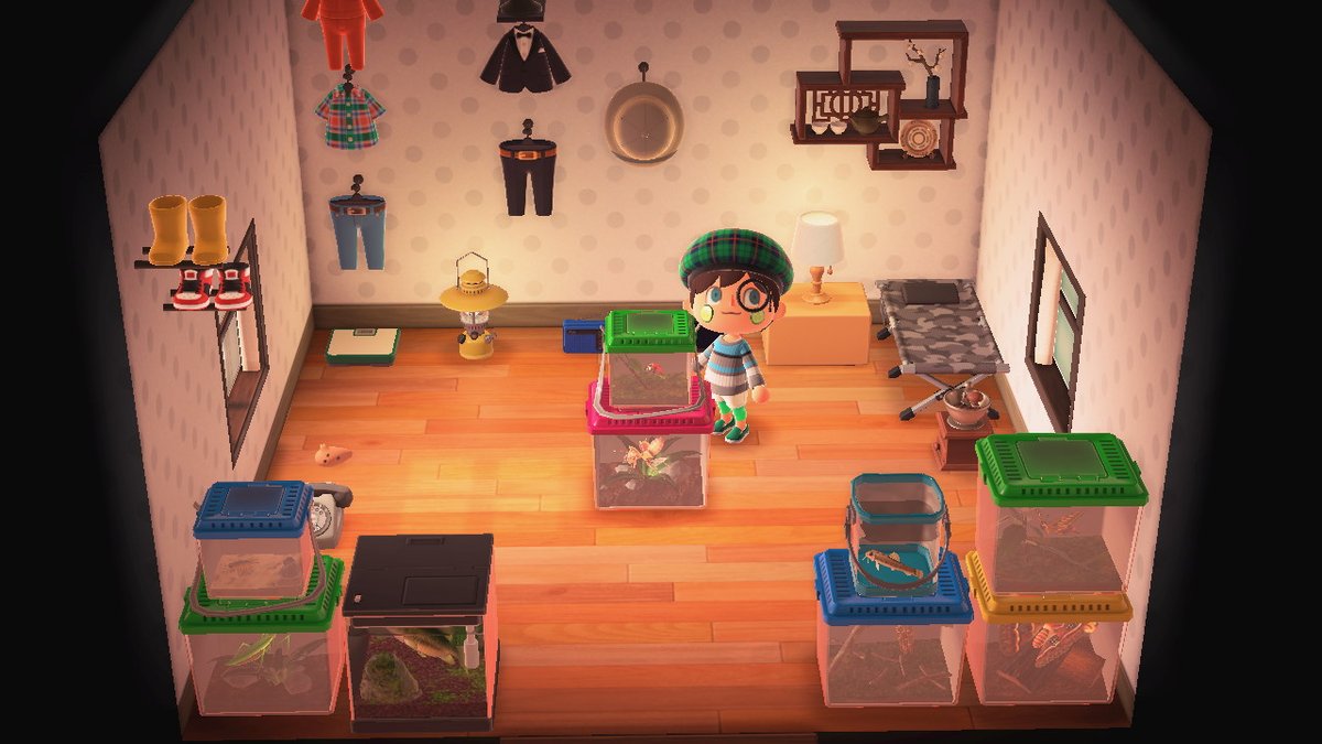 AlexGNeal's tweet photo. #AnimalCrossing #ACNH #NintendoSwitch https://t.co/53636NMaLY