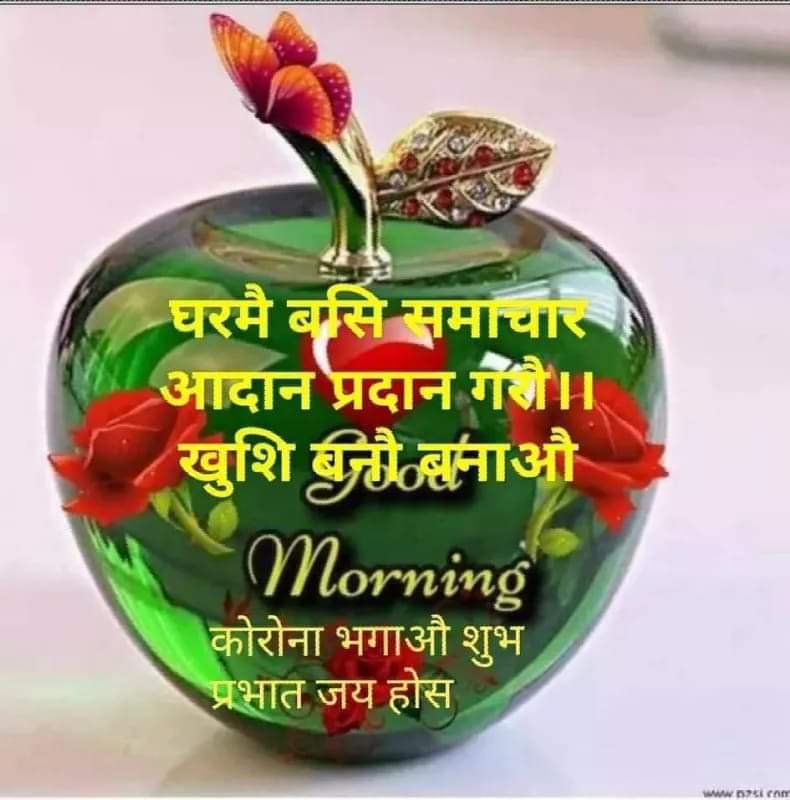 Krishna Bal Tamang (@krishnabaltama3) on Twitter photo 