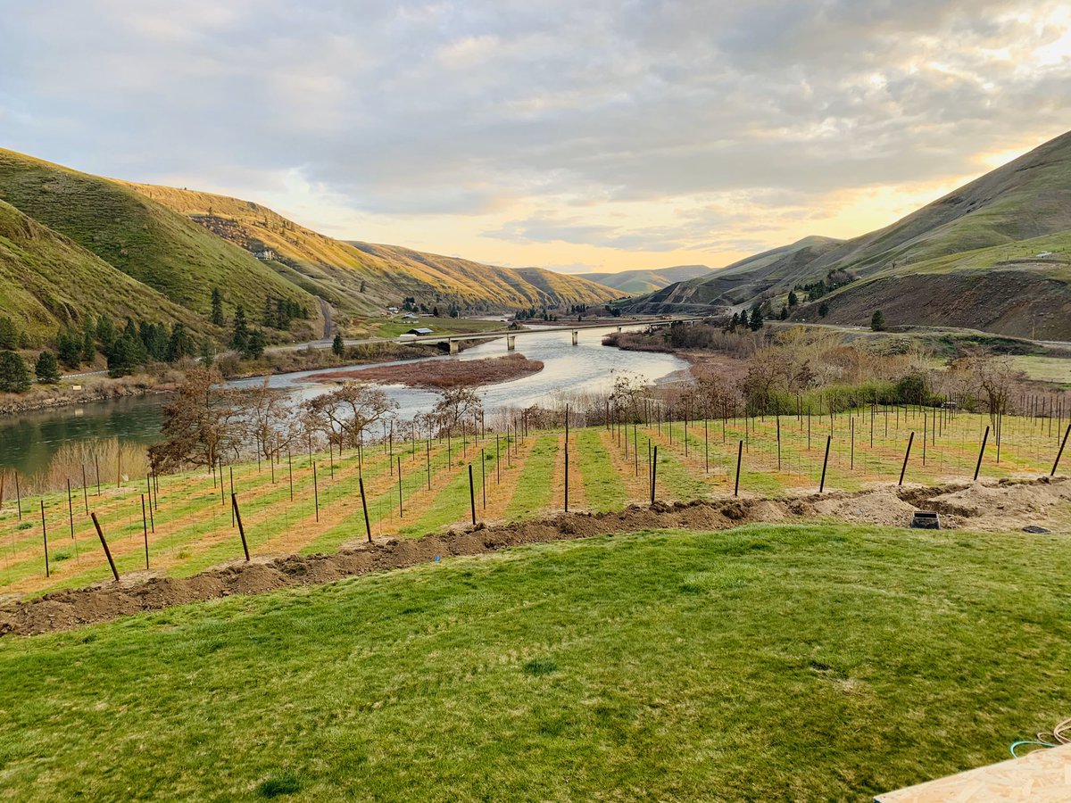 rivaura_wine's tweet photo. @EarthPorn Rivaura Estate Winery and Vineyard #Rivaura https://t.co/OpORoTkPLO