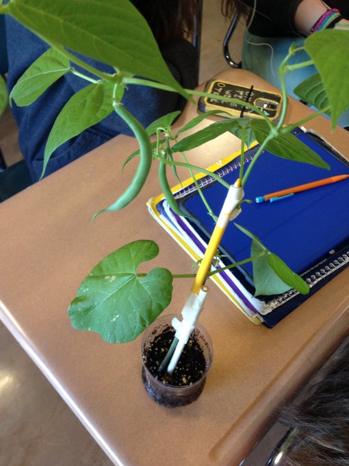 dailySTEM Chris Woods tweet media