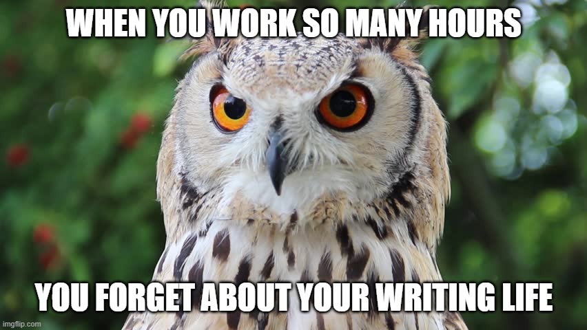 SnowOwl0101 tweet media