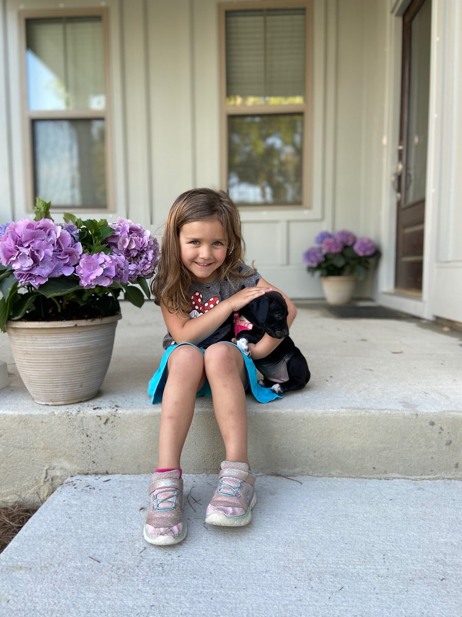 If you ever doubt the effectiveness of drip campaigns, try having two kids who want a pet....