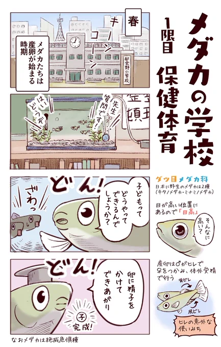 わいるどらいふっ!第171種
【学校のメダカの学校】

(学校再開するところも休校続くところも大変な状況ですが…一刻も早い終息を祈るばかりです。) 