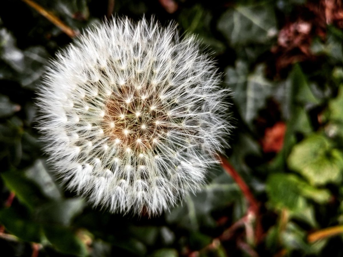 mckinneymura's tweet photo. #makeawish #resetbutton #socialdistancing #remoteinspiration #blessed #Rebirth2020 #newbeginnings #lifebegins #hope #Prayer #reset https://t.co/UeO6IFeVJl