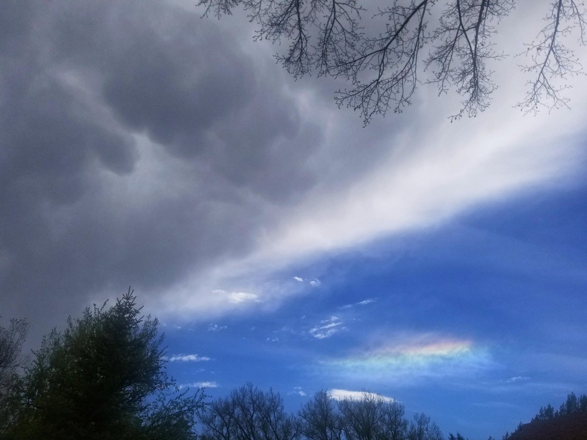 Circumhorizontal arc / mammatus combo
