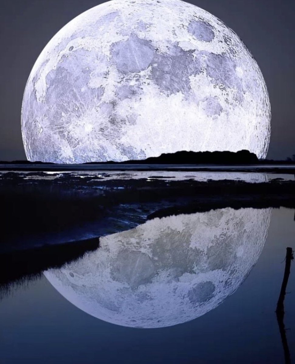 تَمْشِي عَلَى مهلها الْأَحْلَام فـأنتظروا فَفِي اِشْتِدَاد اللَّيَالِي يَسْطَع الْقَمَر .