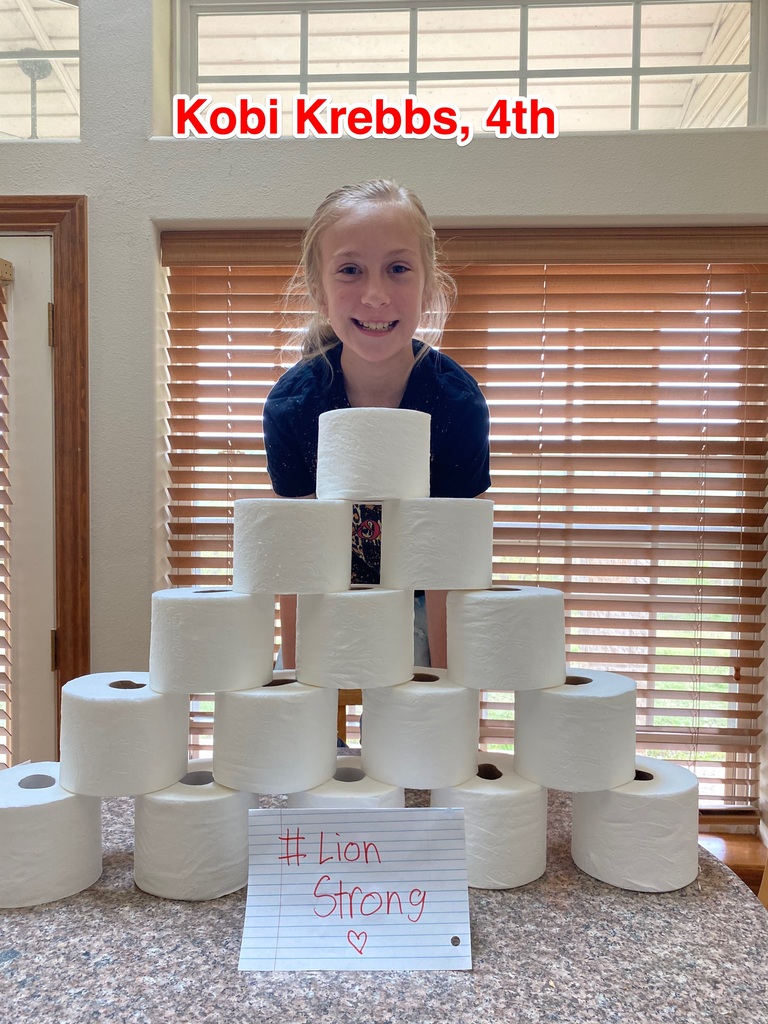 HoweSchools's tweet photo. During today's Lion Strong Assembly, we announced the TP Pyramid challenge! Hey Howe students, show us your stash! #ContinuousLearning #ToiletPaperPyramid #HPSLions https://t.co/AJgjDHdpVA