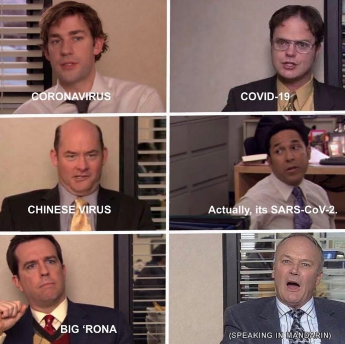 MensHumor's tweet photo. Stanley : I couldn't care less what virus it is. https://t.co/aU62semGhI