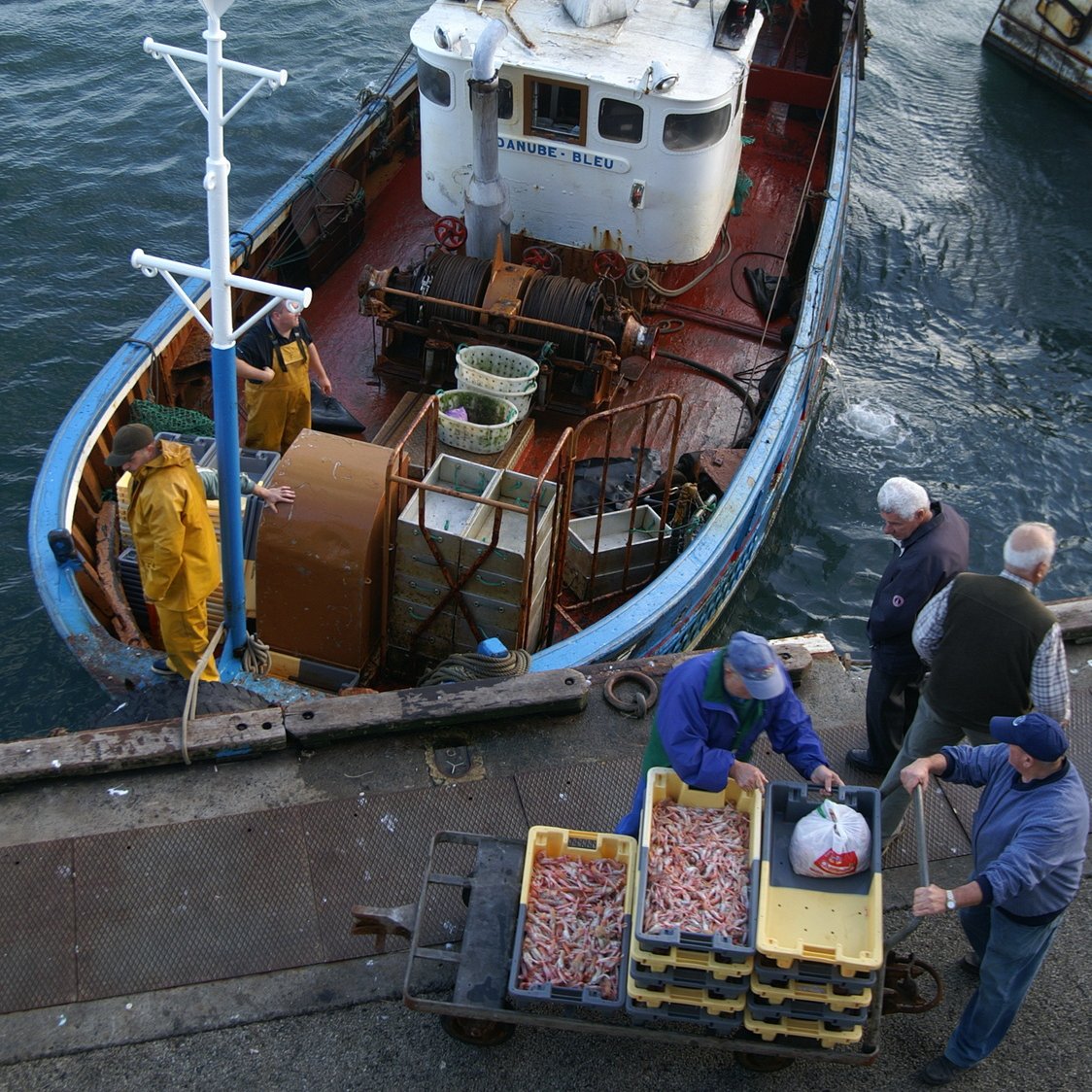 ICESmarine's tweet photo. Gone fishing?
WGSOCIAL, an @ICES_ASC  group that focuses on integrating social sciences into our work, have been looking at the social impacts of #COVID19 on fishing industries. 

@MarloesKraan, #LisaLColburn, and Amber Himes-Cornell tell us more:
https://t.co/xi46FVy8vy https://t.co/5uIHD2sB03