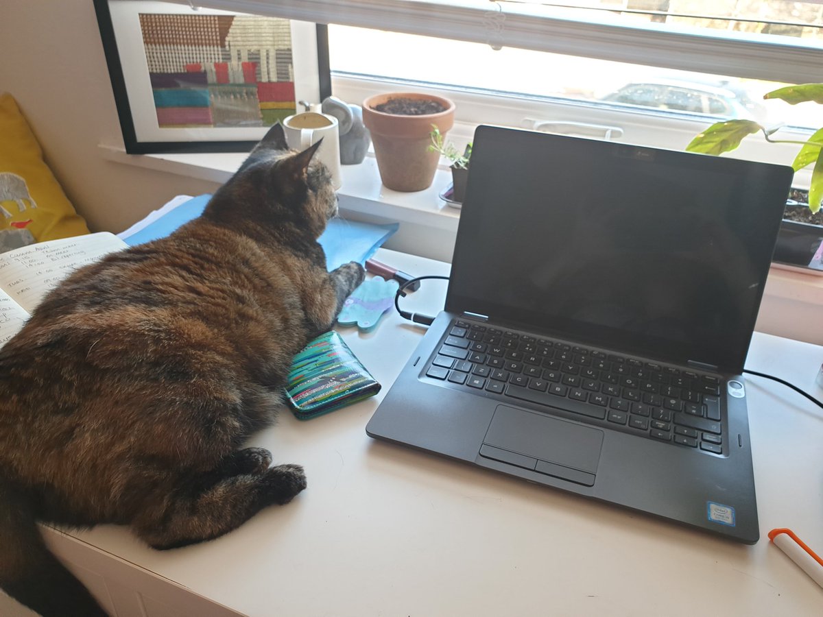 Popped downstairs to make a coffee and came back to find my cat had made herself at home! #workingfromhome #fdmcareers