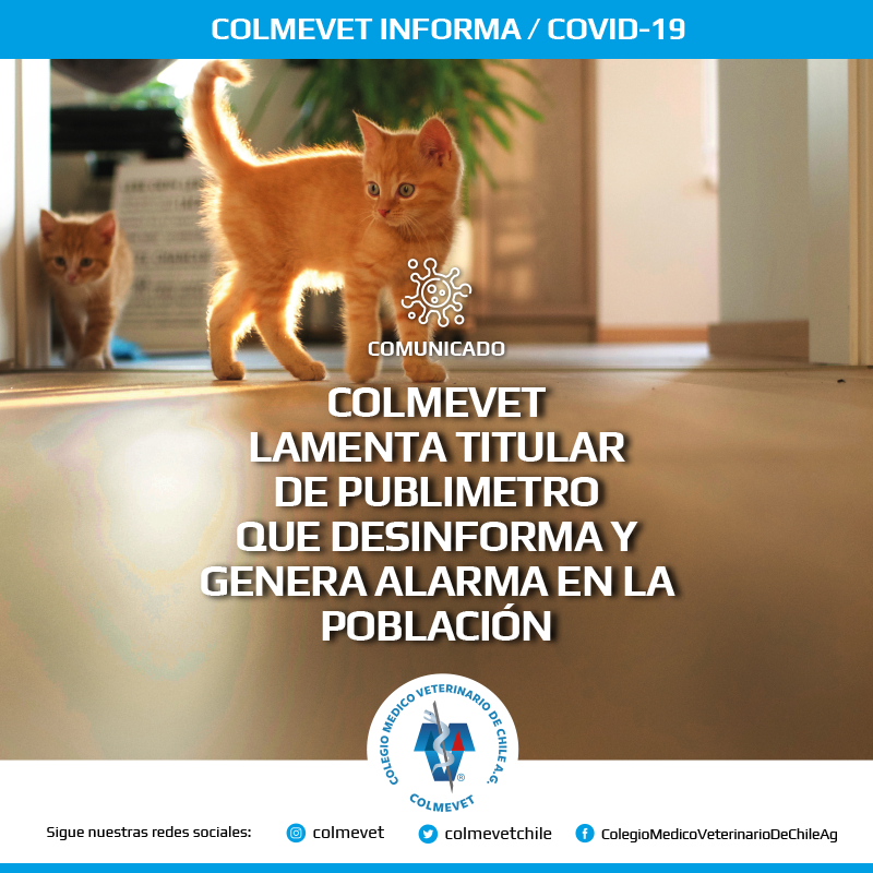 colmevetchile tweet picture