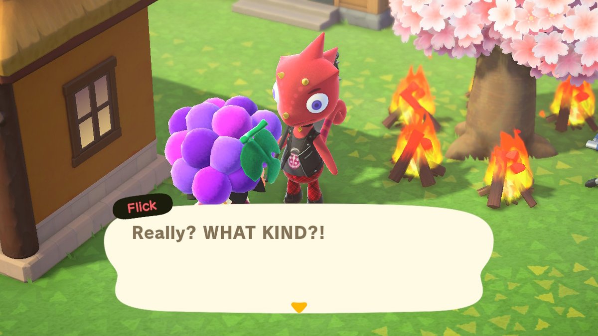 InstafluffTV's tweet photo. Flick had no clue what he was in for... #BreakingBug #AnimalCrossing #ACNH #NintendoSwitch https://t.co/7Zw8enqwRI