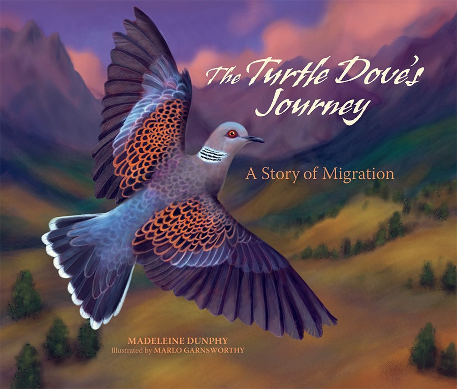 For  #IndieBookstorePreorderWeek, I recommend preordering THE TURTLE DOVE'S JOURNEY by Madeleine Dunphy &  @MarloWordyBird from  @BarringtonBooks in Barrington, RIRelease Date: 5/9/20Publisher:  @WebOfLifeBooks