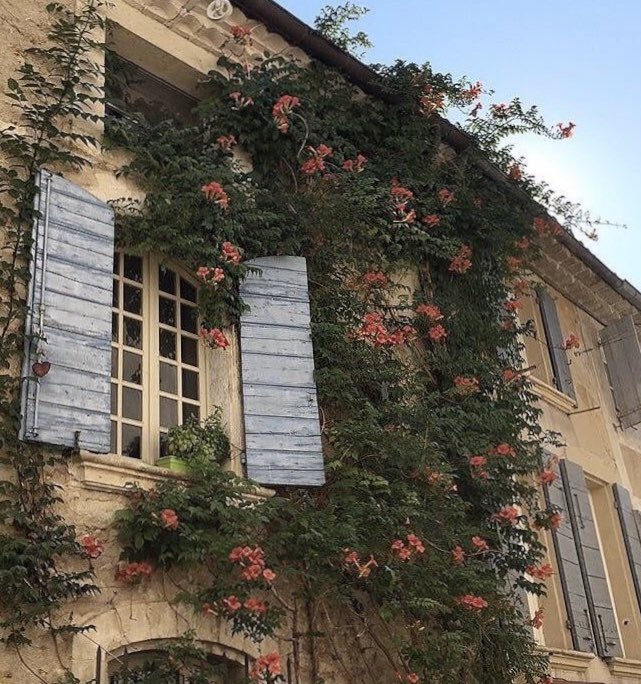 hurryandpack's tweet photo. Sometimes, you just need to let the pictures do the talking. Stay home, stay safe. #springinparis https://t.co/nDk0o2PltK