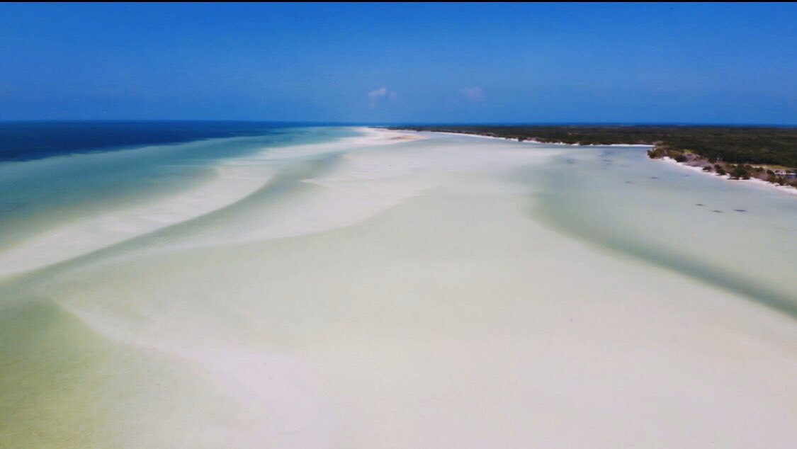lenchitodesoli's tweet photo. @PlayaRiviera @turismoholbox @HoIbox @CaribeMexico @VisitandoCancun https://t.co/YvL6WepZUv