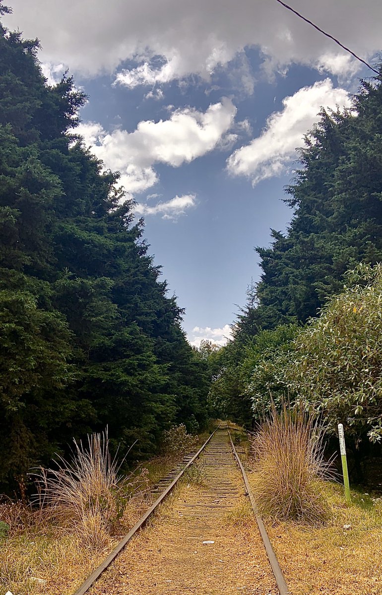 fuentesgar's tweet photo. Los caminos de la vida, son como yo pensaba, como los imaginaba
No son como yo creía...  🎼🥁🎤
#Toluca @webcamsdemexico https://t.co/fN01R2wzYz