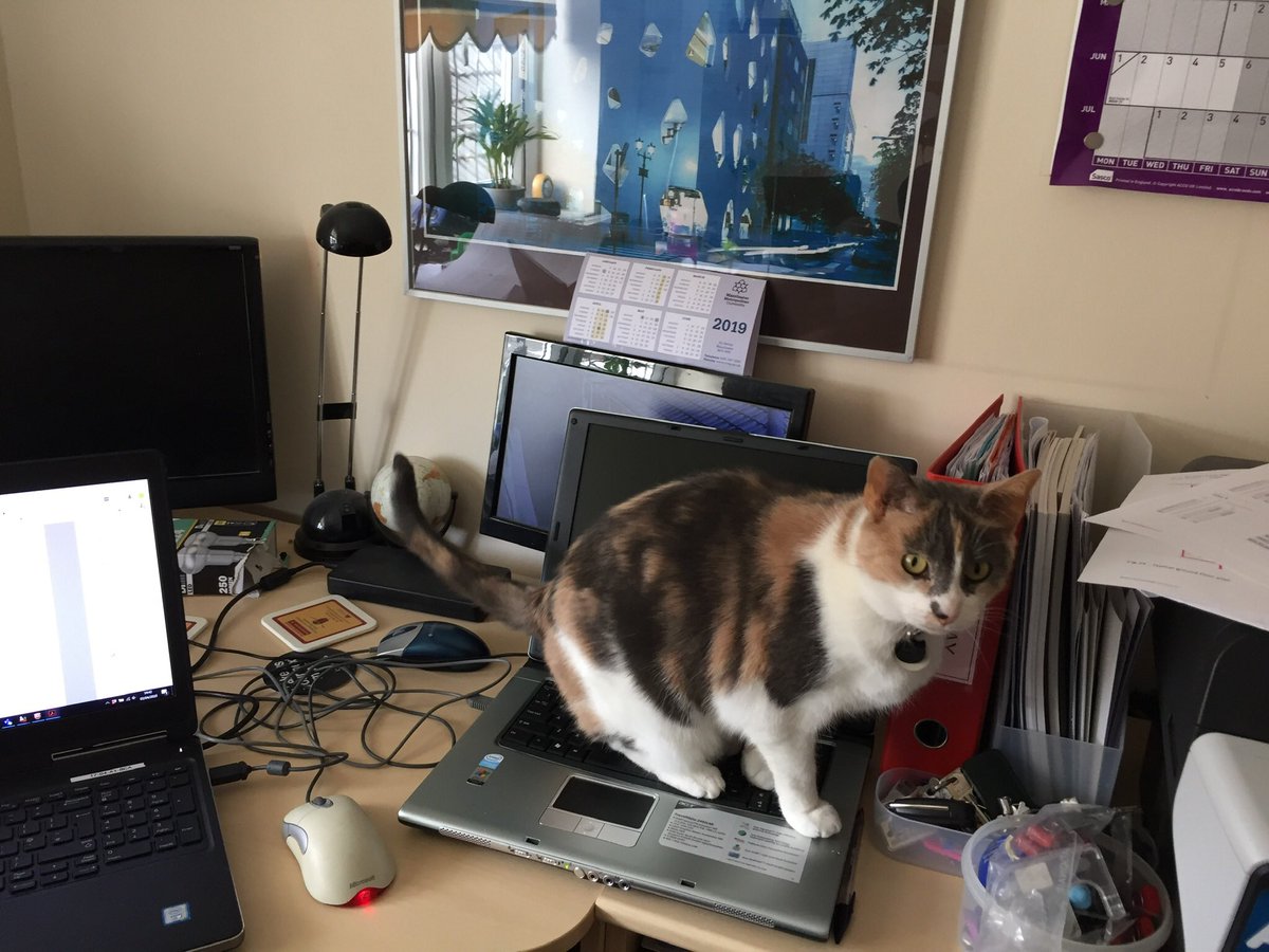 MichaelCosser's tweet photo. @Number10cat https://t.co/6RxnODYhyT