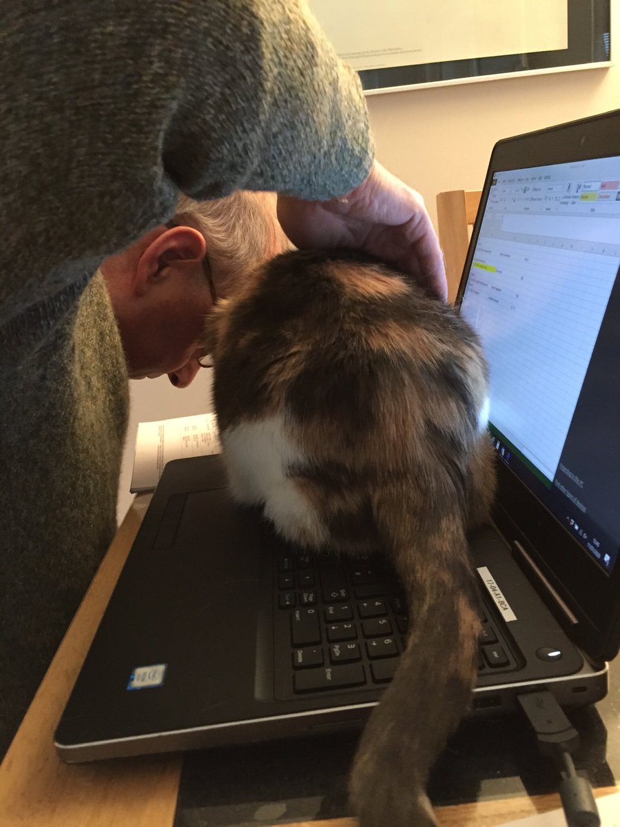 MichaelCosser's tweet photo. @Number10cat https://t.co/6RxnODYhyT