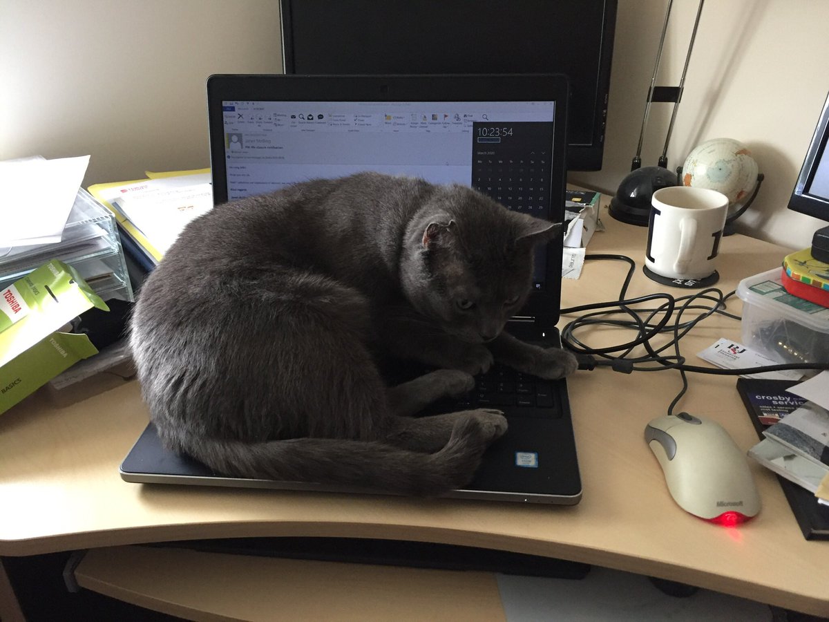 MichaelCosser's tweet photo. @Number10cat https://t.co/6RxnODYhyT