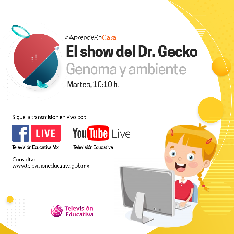 aprende_mx's tweet photo. No te pierdas El show del #DrGecko, una serie televisiva que busca fomentar la vocación científica y comunicar las disciplinas genómicas de manera divertida.

#AprendeEnCasa por #IngenioTV.

@BasicaSEPH @INMEGEN @aprende_mx @SPRMexico @laREDMX https://t.co/2Mnglwix1J