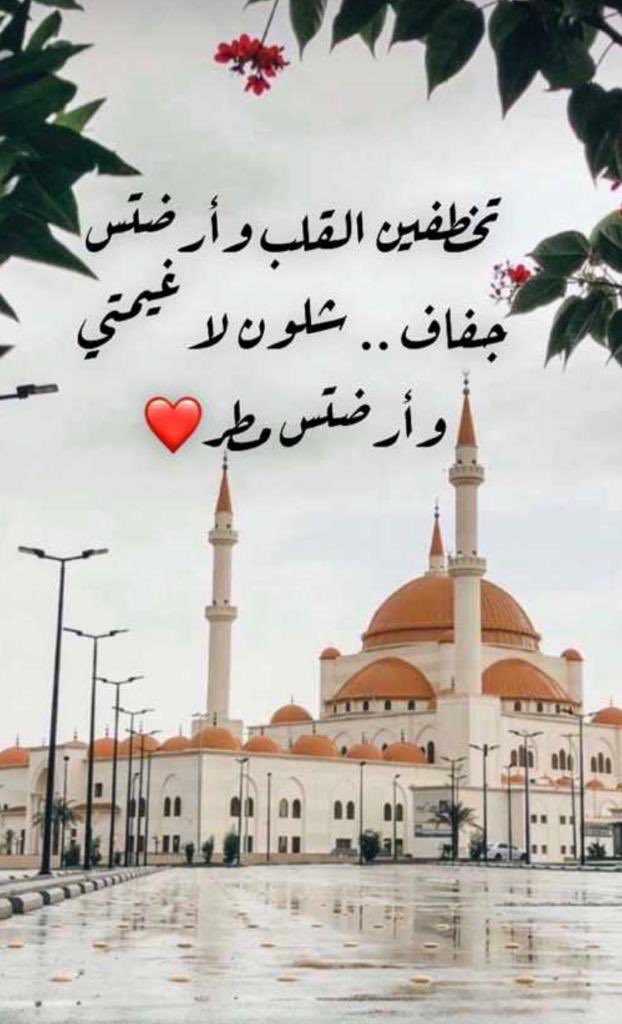 ام سلطان tweet media