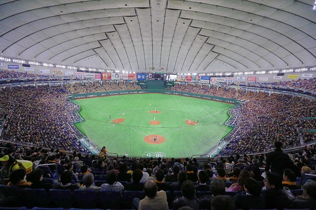 プロ野球、緊急事態宣言の影響で5月の開幕も難しくなる・・・