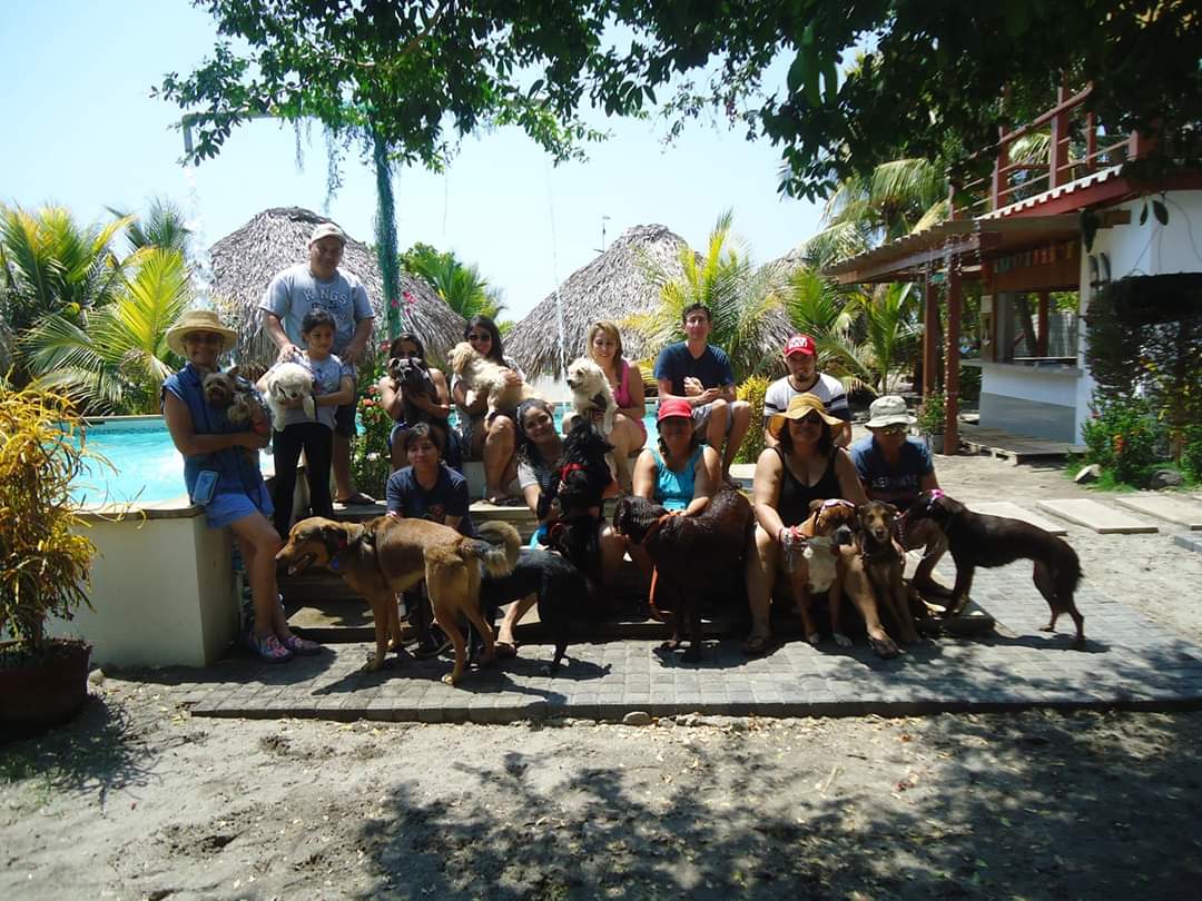 brendasantisima's tweet photo. AMO organizar esto para ustedes, primero Dios y seguiremos haciéndolo, quiénes están listos ??? 3
#PerriturismoES #CaminataConPerros #PatitasDePaseo #SomosLosUnicos #TuriPet #TurismoElSalvasor #ElSalvadorTravel https://t.co/gcHcvHkTk4