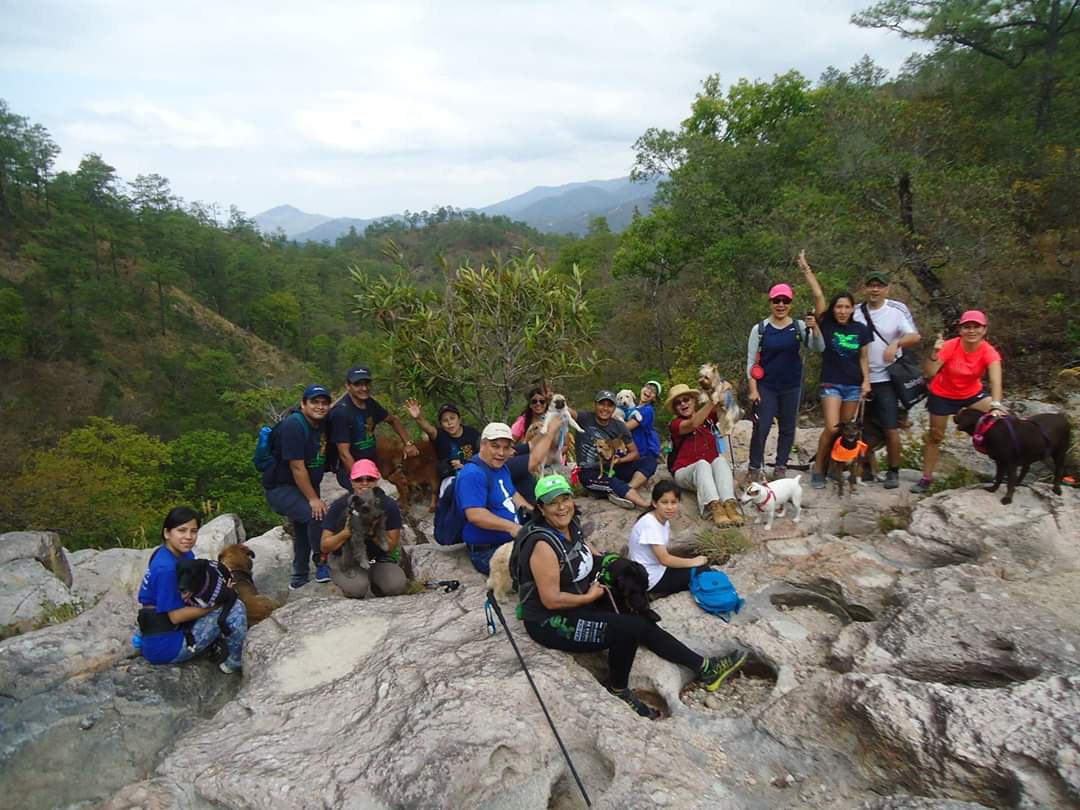 brendasantisima's tweet photo. AMO organizar esto para ustedes, primero Dios y seguiremos haciéndolo, quiénes están listos ??? 3
#PerriturismoES #CaminataConPerros #PatitasDePaseo #SomosLosUnicos #TuriPet #TurismoElSalvasor #ElSalvadorTravel https://t.co/gcHcvHkTk4