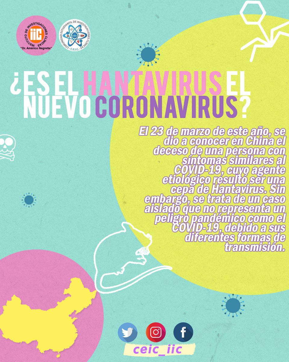 CEIC_IIC's tweet photo. Los grupos de riesgo son personas mayores de 60 años, embarazadas, lactantes. Actualmente no existe tratamiento específico para esta enfermedad.

inisterio de Salud. Enfermedades Infecciosas, Hantavirus. Guía para el equipo de salud Nro 10 2012. ISSN 1852-1819. https://t.co/MptNPdfQv9