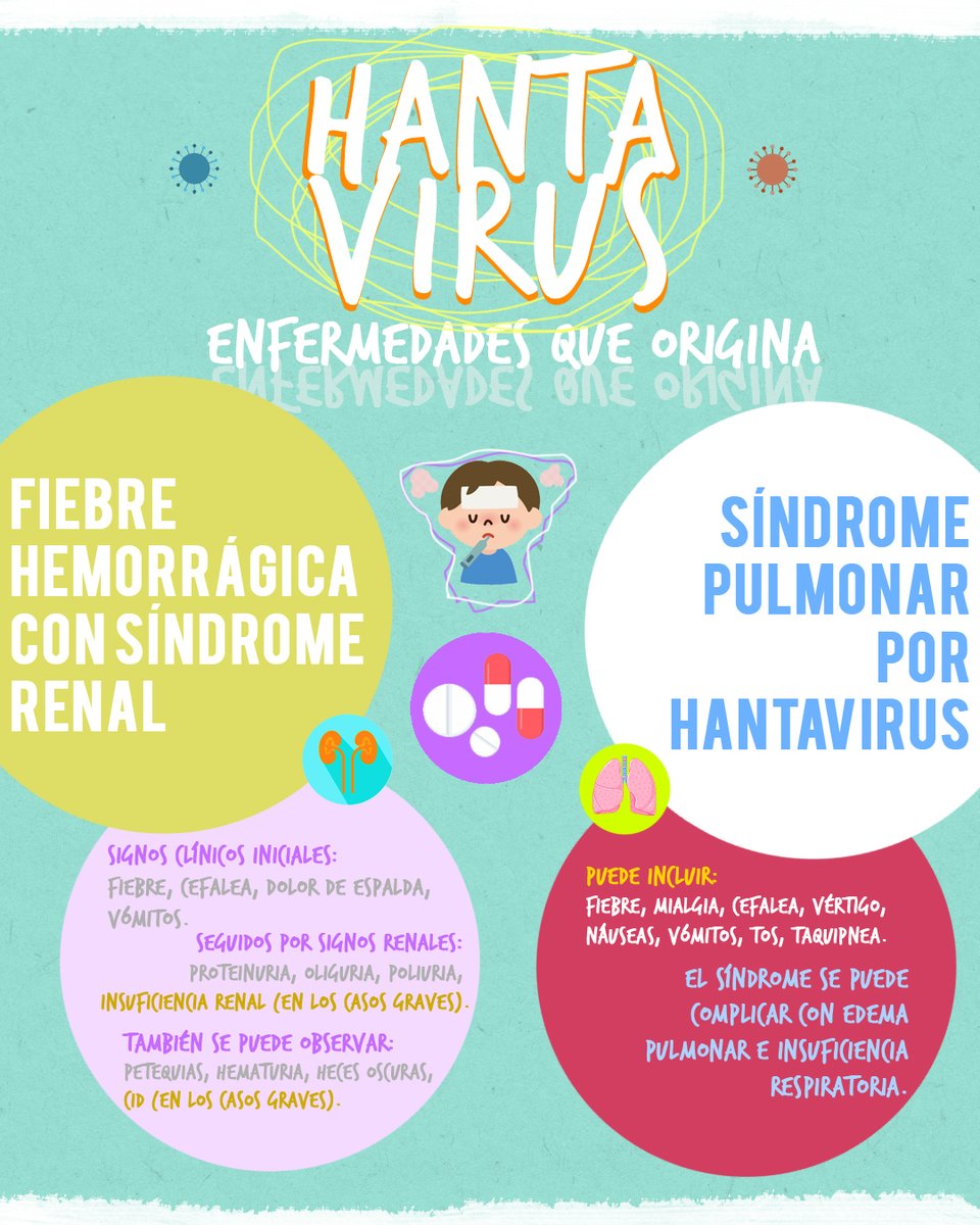 CEIC_IIC's tweet photo. Los grupos de riesgo son personas mayores de 60 años, embarazadas, lactantes. Actualmente no existe tratamiento específico para esta enfermedad.

inisterio de Salud. Enfermedades Infecciosas, Hantavirus. Guía para el equipo de salud Nro 10 2012. ISSN 1852-1819. https://t.co/MptNPdfQv9