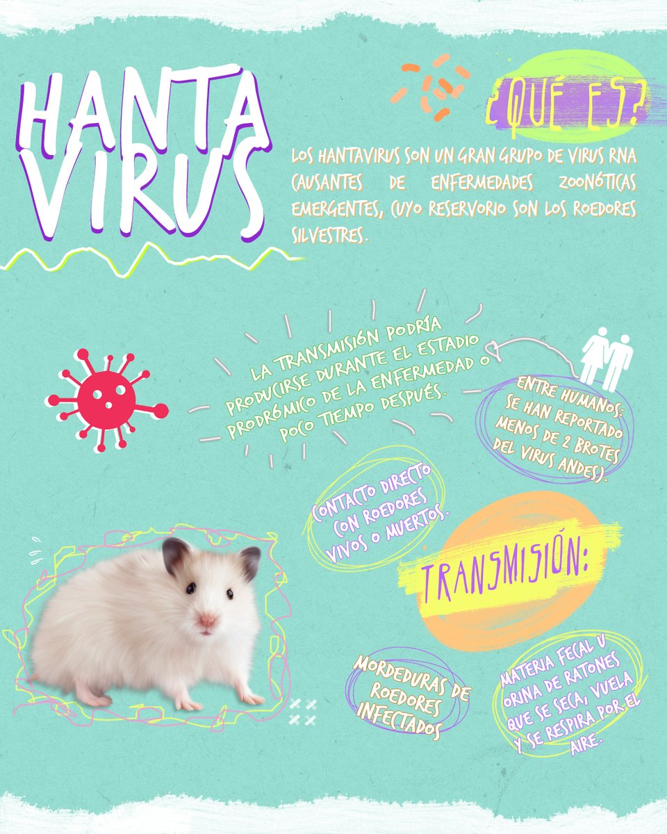 CEIC_IIC's tweet photo. Los grupos de riesgo son personas mayores de 60 años, embarazadas, lactantes. Actualmente no existe tratamiento específico para esta enfermedad.

inisterio de Salud. Enfermedades Infecciosas, Hantavirus. Guía para el equipo de salud Nro 10 2012. ISSN 1852-1819. https://t.co/MptNPdfQv9