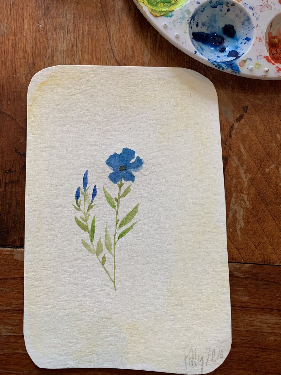 pollywood_123's tweet photo. @BlissPsy320 I’ve been making it by trying to be more understanding+positive, and by getting into watercoloring! https://t.co/1RZbtFHxec