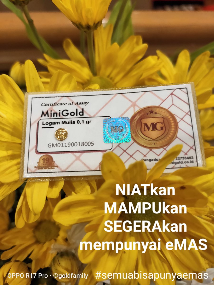 DealerJatim's tweet photo. Jangan MENUNDA membeli eMAS 
Nyesel belakang 
Tidak pernah dimuka 

Welcome RESELLER 
Welcome DISTRIBUTOR 
welcome DREAMER 

Wa: 0822.3119.3333

#SemuaBisaPunyaEmas 
#melekemas
#minigold
#opendistributor
#openreseller https://t.co/Ob0Aj7BPGM