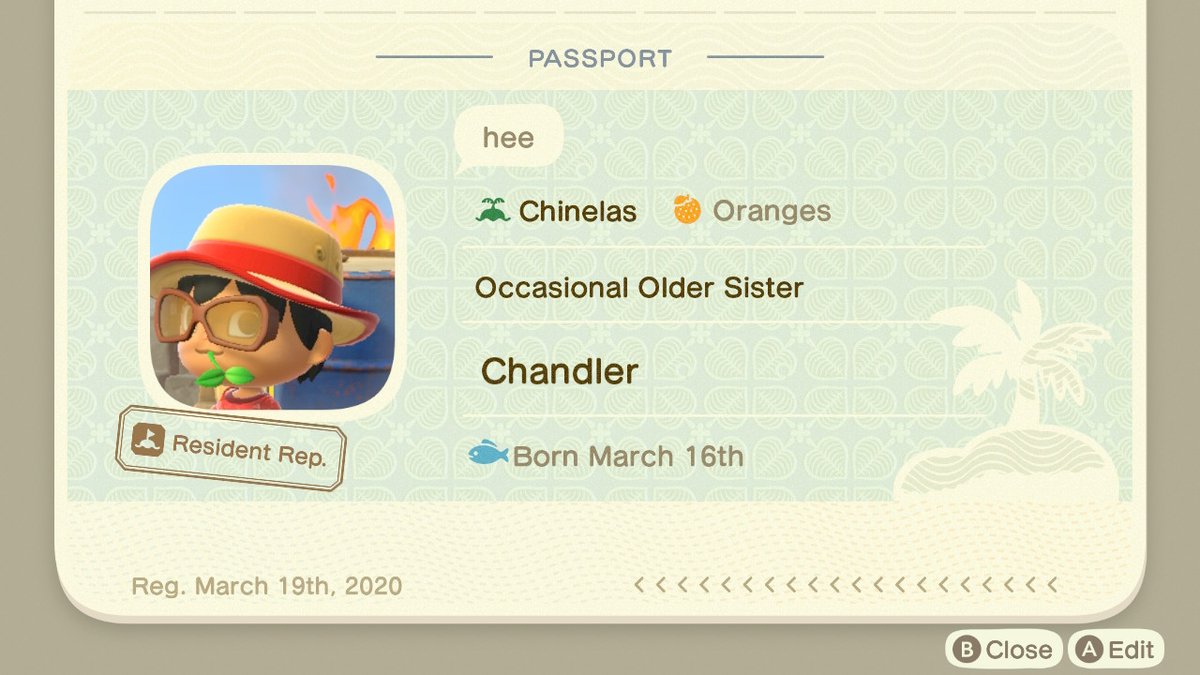 chandlerhandle's tweet photo. #hupdate #AnimalCrossing #ACNH #NintendoSwitch https://t.co/bDjeu2WJae